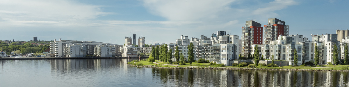 Programmet Robust kommun